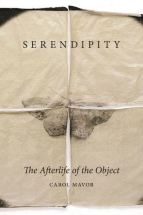 Serendipit &hellip;