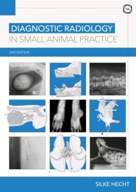 Diagnostic …