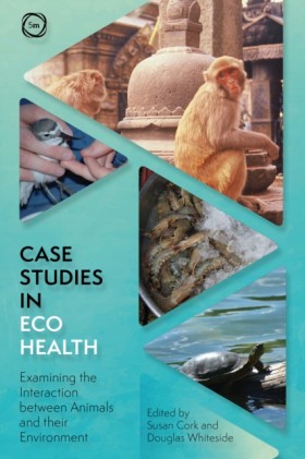 Case Studi …