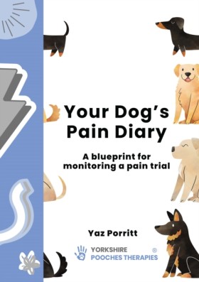 Your Dog’s …