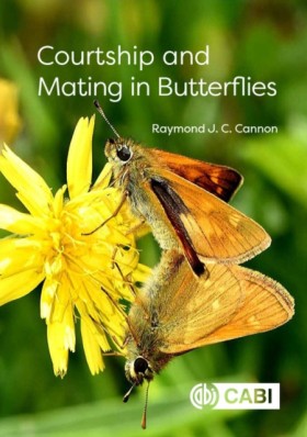 Courtship …