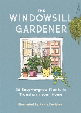 The Window &hellip;