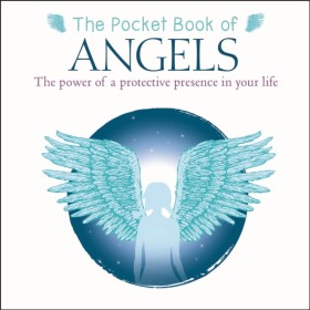 The Pocket &hellip;