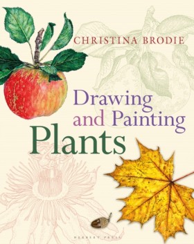Drawing an &hellip;