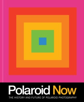 Polaroid N …