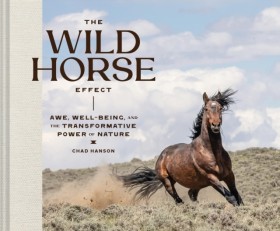 The Wild H …