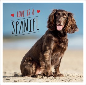Love is a &hellip;