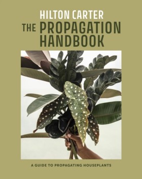 The Propag &hellip;