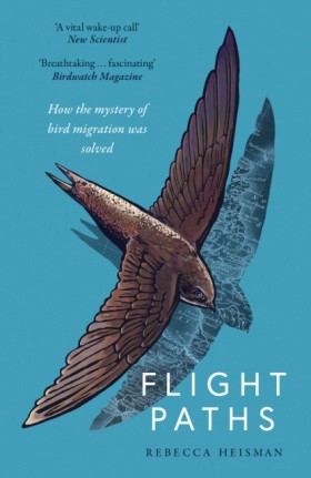 Flight Pat &hellip;