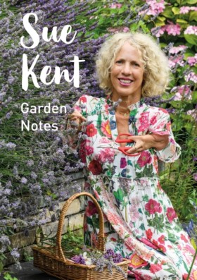 Sue Kent: &hellip;