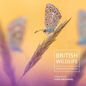 British Wi …