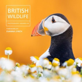 British Wi &hellip;