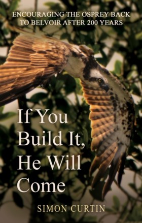If You Bui …