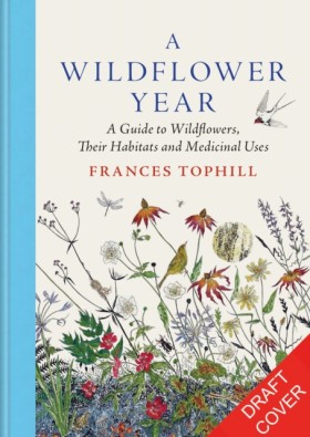 A Wildflow …