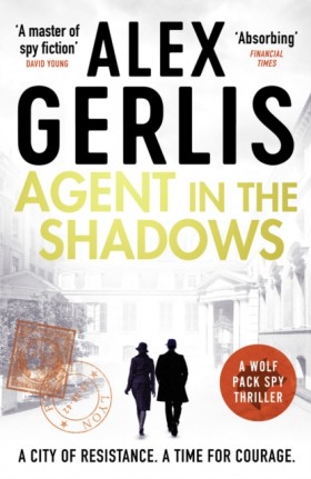 Agent in t &hellip;