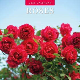 Roses 2025 &hellip;