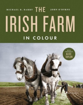 The Irish …