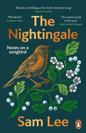 The Nighti &hellip;