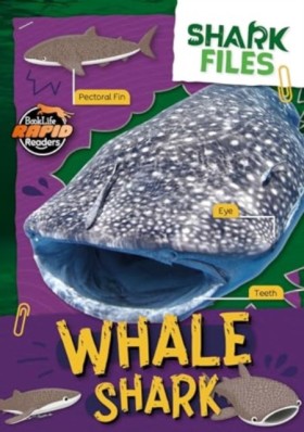 Whale Shar &hellip;