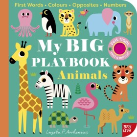 My BIG Pla &hellip;