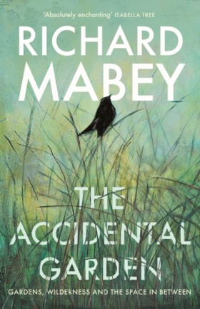 The Accide &hellip;