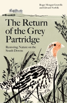 The Return &hellip;