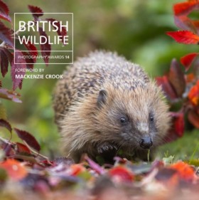 British Wi &hellip;