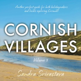 Cornish Vi &hellip;