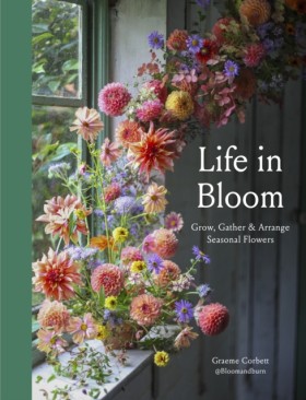 Life in Bl &hellip;