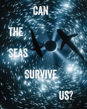 Can the Se …