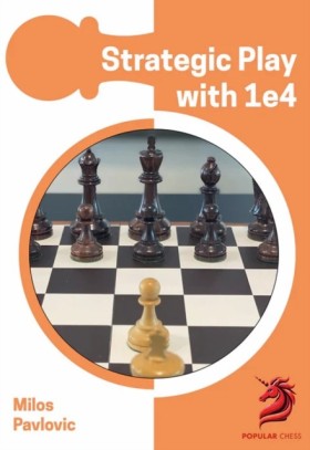 Strategic &hellip;