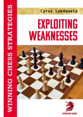 Exploiting &hellip;