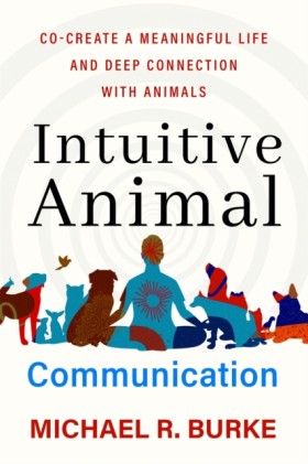 Intuitive …