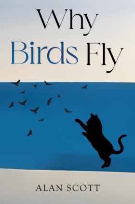 Why Birds &hellip;