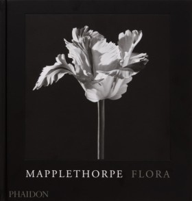 Mapplethor …