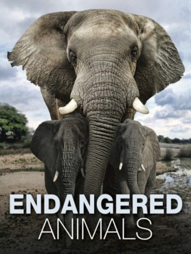 Endangered &hellip;