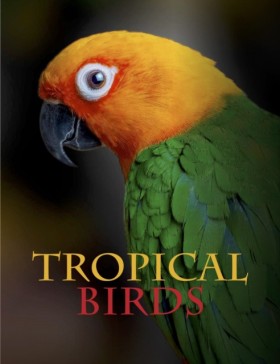 Tropical B &hellip;