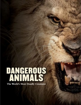 Dangerous …