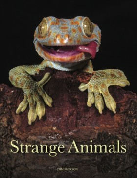 Strange An &hellip;