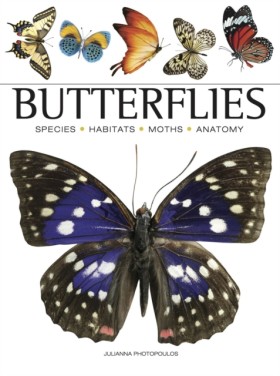 Butterflie &hellip;