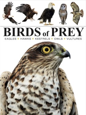 Birds of P &hellip;