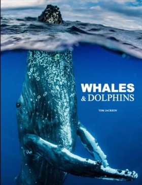 Whales & D &hellip;