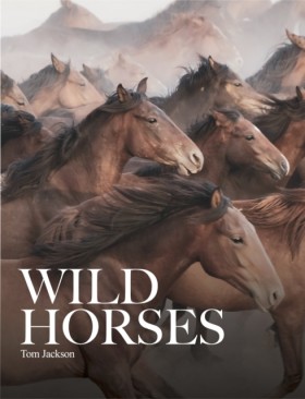 Wild Horse …
