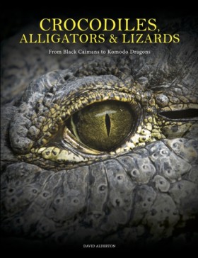 Crocodiles &hellip;