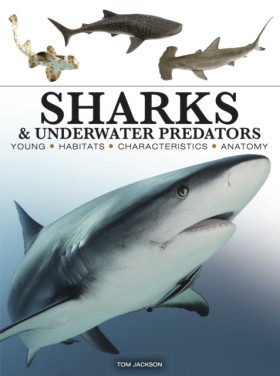 Sharks & U &hellip;