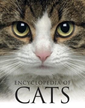 Encycloped &hellip;
