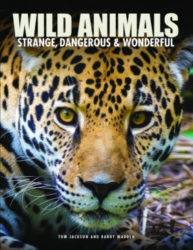 Wild Anima …