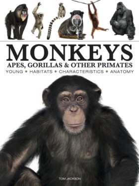 Monkeys