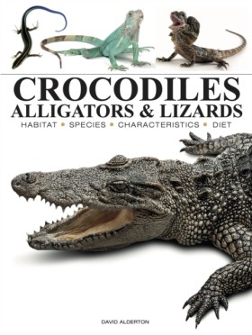 Crocodiles …