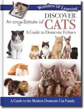 Discover a …